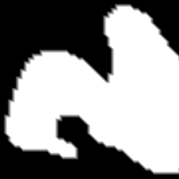 Binary image of area's where pigments are effected by fluid movement, thesholded water density image.