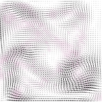 Vector field of fluid simulation.